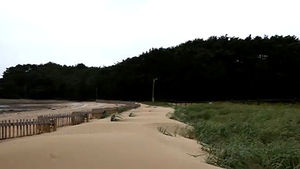 태안반도에 옹벽 없애고 모래 언덕 살린다
