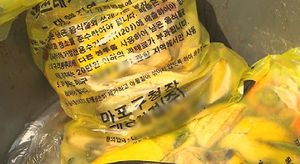 음식물 쓰레기, 줄여봐야 나만 손해?