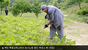 北억류 케네스 배 여동생 "오빠 몸무게 22㎏ 빠져"