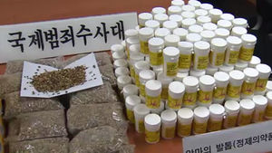 관절염 치료제 '악마의 발톱' 불법 밀수입 적발