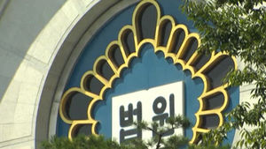 '나주 초등생 성폭행' 사건 법 적용 실수로 파기환송