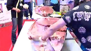 엔저 효과에 참치 가격 '뚝'&hellip;고등어도 이겼다