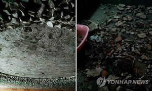 사우나실 천장에서 돌 떨어져 2명 부상