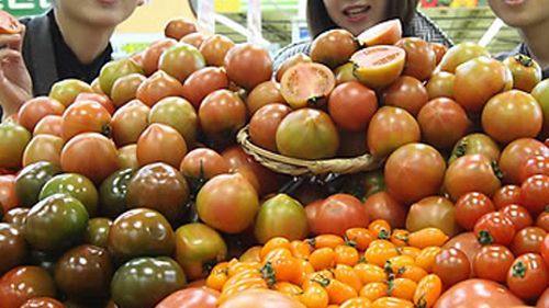 대추방울토마토_50