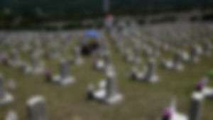 상이용사 급증에 미국 국립묘지 '자리 없다' 대란