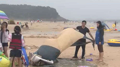 해수욕장