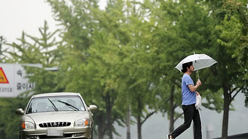 장마_500