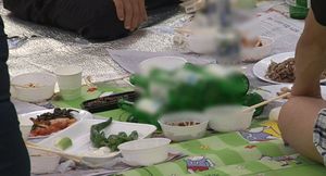 [취재파일] ‘마니아문화’가 ‘대중문화’에 편입되는 과정
