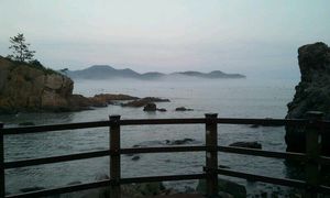 완도 숙박업소 해조류박람회 기간 요금 동결