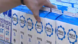 매일유업, 우윳값 인상분 근거자료 공개 검토