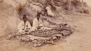 호주 선교사들의 눈에 비친 1890∼1920년 한국