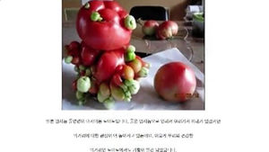 [현장21] 日 방사능 공포, '괴담' 혹은 '진실'