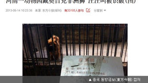 개를 사자로 둔갑시킨 황당한 중국 동물원