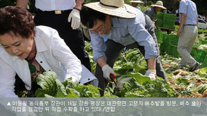 이동필 장관, 대관령서 배춧값 안정화 대책회의