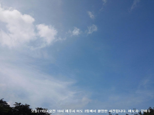 제주캡션