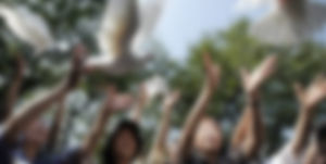 중국 '비둘기 레이스' 인기&hellip;우승 상금 18억 원