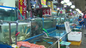 [취재파일] '가을 전어'는 옛말&sim; 올해도 여름 풍어!