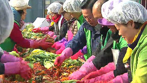 [수도권] 광주 새마을지회, 어려운 이웃 위한 배추심기