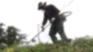 충북서 벌초중 예초기 안전사고 잇따라