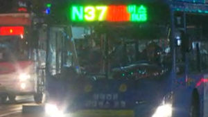 12일부터 심야 전용 '올빼미버스' 운행&hellip;환승 가능