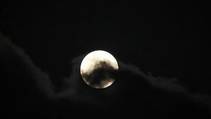 한가위 보름달, 구름 사이로 볼 수 있다
