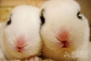 [월드리포트] '미신의 나라' 임신한 며느리에 "토끼 고기 먹었으니 낙태해"