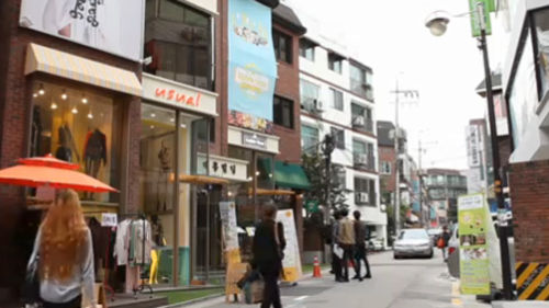 [취재파일] 가로수
