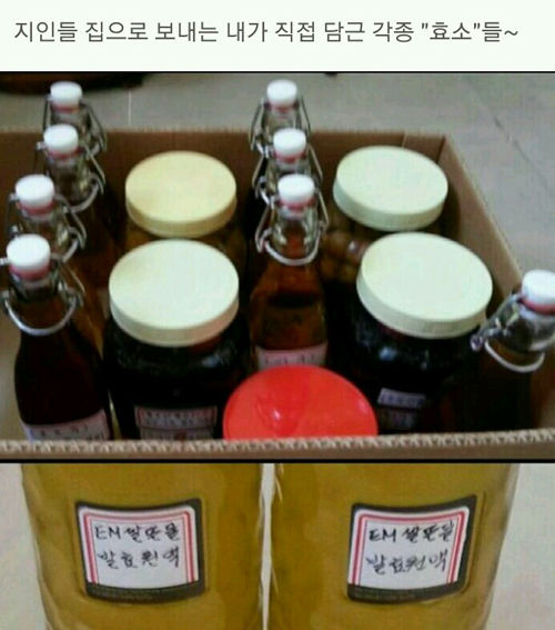 [한 장의 추석]