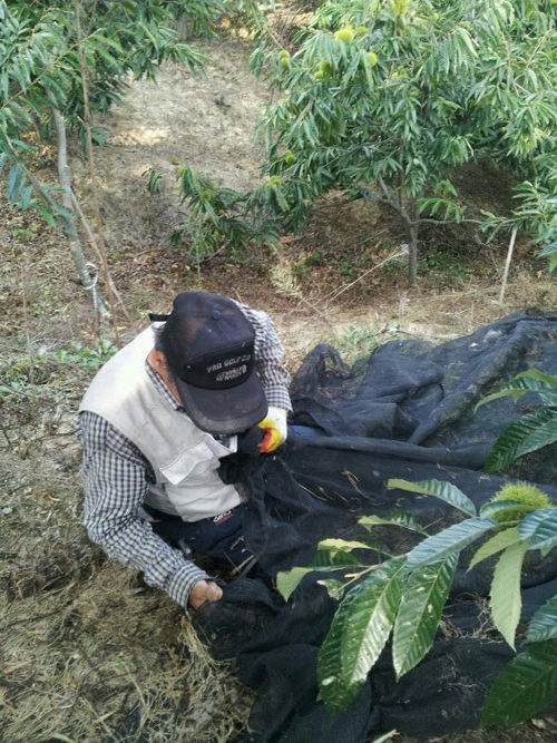 한 장의 추석_김봄