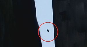 [영상] 시속 160km로 하늘서 낙하&hellip;아찔한 묘기