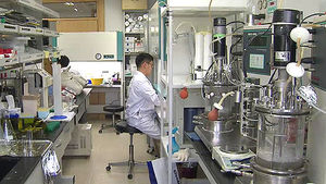 식중독 대장균에서 휘발유가&hellip;상용화 여부 관건