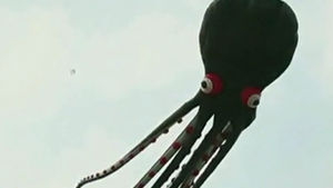 거대 문어가 하늘에&hellip;中 특별한 연 날리기