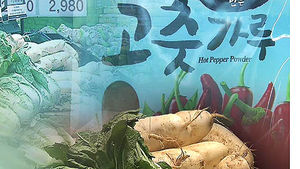 배추&middot;고춧가루 값 떨어질 듯&hellip;김장 비용은?