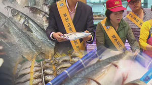 "고등어, 갈치 좀 사주세요" 어민들 하소연