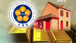 의사&middot;변호사 등 세금 탈루 정황 포착&hellip;조사 착수