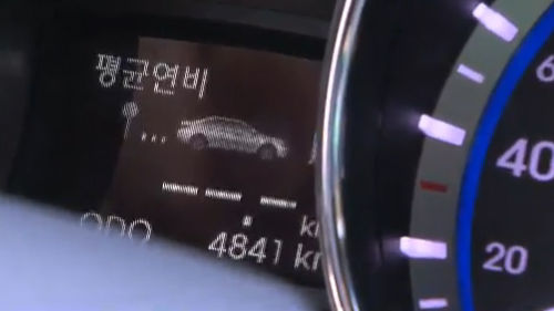 하대석 취재파일