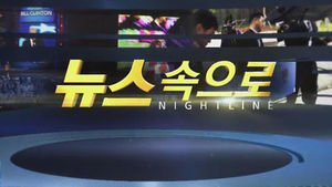[뉴스속으로] 사이버 범죄 국제 공조, 서울서 논의