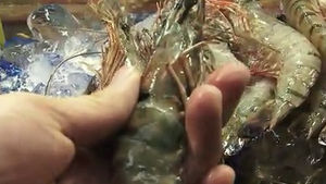 먹어도 될까?&hellip;'우무' 채운 베트남 새우 대거 유통