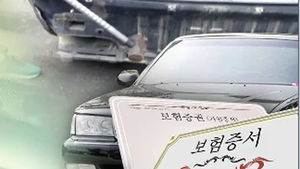자동차 동호회에서 '보험사기'&hellip;회원 21명 입건