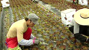 [전주] 귀농&middot;귀촌 가구 절반 이상은 40&middot;50대