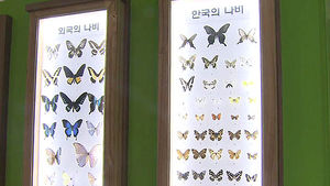 [수도권] 나비 공원, 우수 향토 자원에 선정