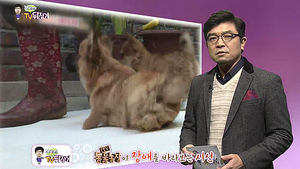 [정덕현의 TV 뒤집기] 'TV동물농장'이 장애를 바라보는 시선