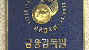 가짜 재직증명서 등 서류조작 대출업자 무더기 적발