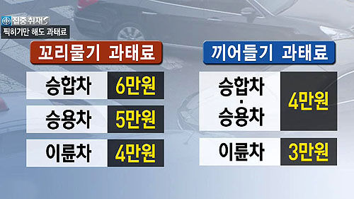 꼬리물기 끼어들기