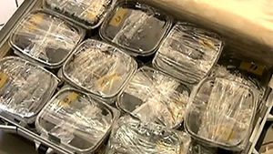 수상한 느낌에 열어 보니&hellip;120마리 뱀이 '꿈틀'