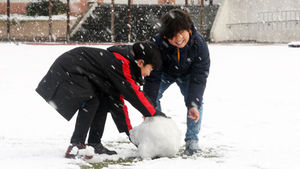 충북 전역에 눈 '펑펑'&hellip;보은 8.5cm 적설량