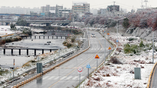 충북 첫눈