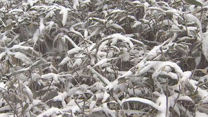 한라산에 5㎝ 눈&hellip;제주도 산간 대설주의보