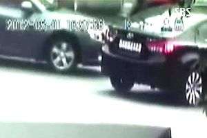 '운전자보험 이용 고의사고' 일가족 보험사기단 덜미