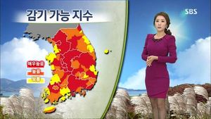 [그래픽] 감기 가능 지수